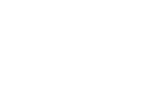 Júlio Cesar Personal
